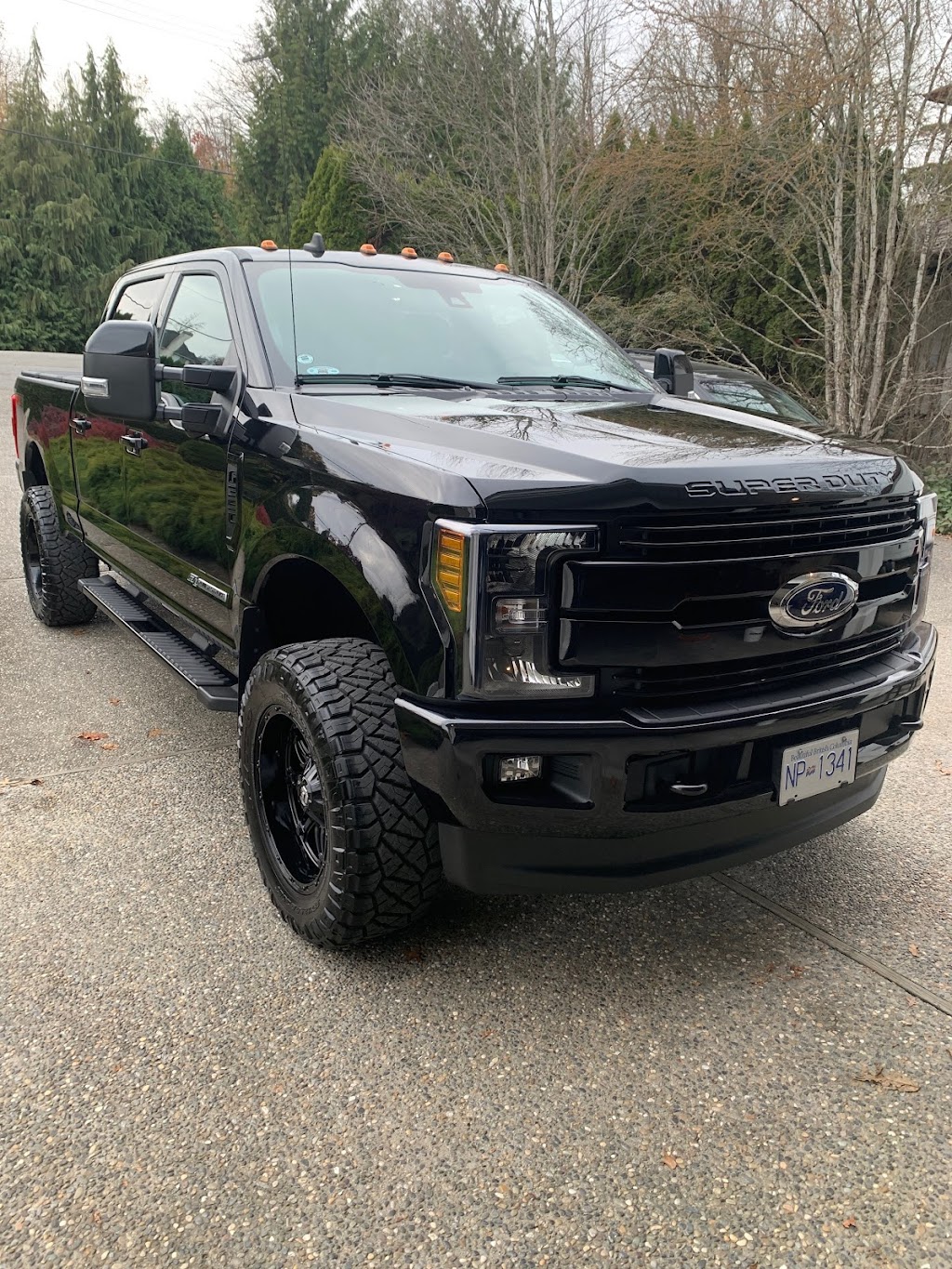 Top Dog Detail | 8740 Chilliwack Mountain Rd, Chilliwack, BC V2R 3V2, Canada | Phone: (604) 316-8738