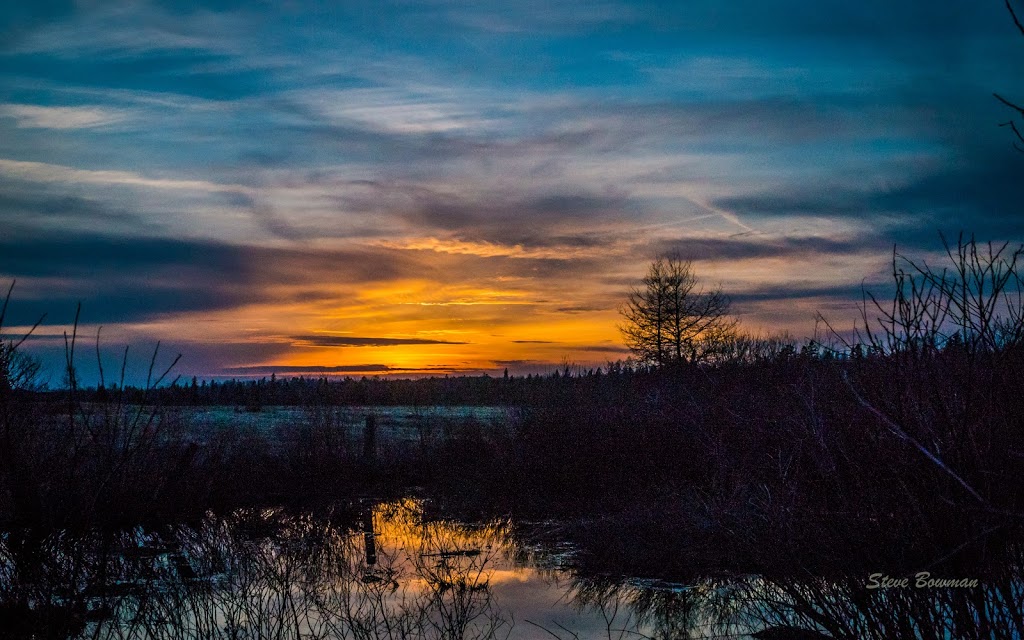 Steve Bowman Photography | 3 Main St W Suite 1060, Huntsville, ON P1H 0A3, Canada | Phone: (705) 380-2578