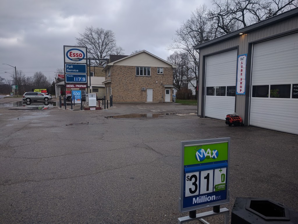 Little Beaver Variety | 11548 Longwoods Rd, Delaware, ON N0L 1E0, Canada | Phone: (519) 652-0977