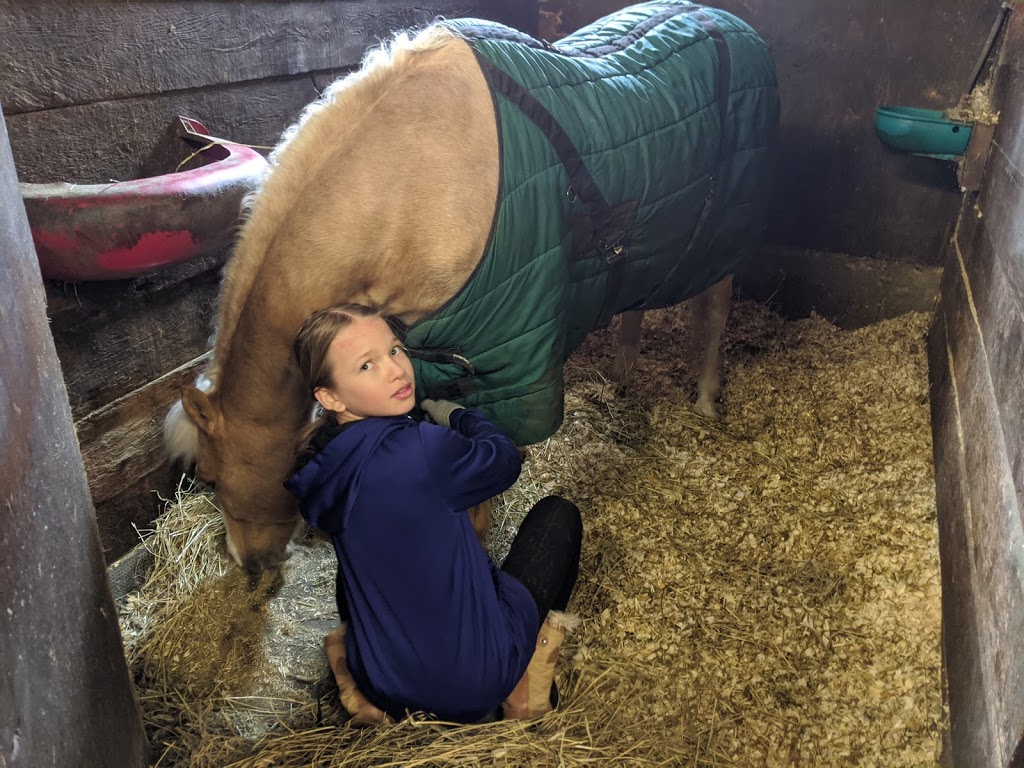 Fiddlers Green Stables | 6575 Flewellyn Rd, Stittsville, ON K2S 1B6, Canada | Phone: (613) 831-2844