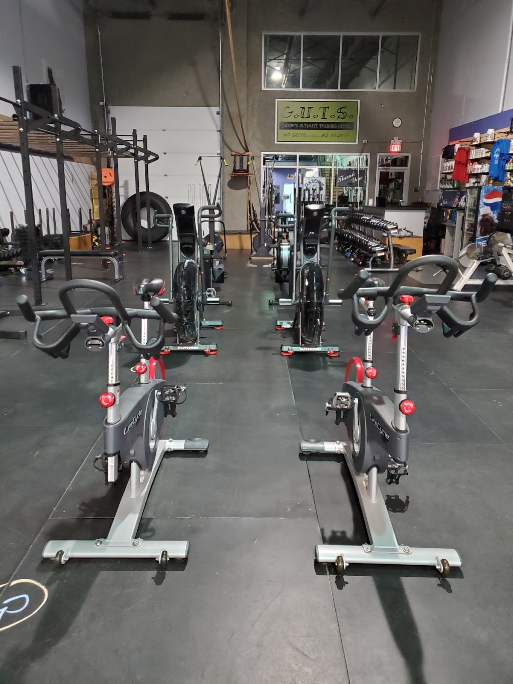 Gators Gym | 17670 65a Ave, Surrey, BC V3S 5N4, Canada | Phone: (604) 574-4811