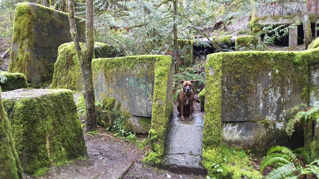 Tod Inlet | Brentwood Bay, BC V8M 1J8, Canada