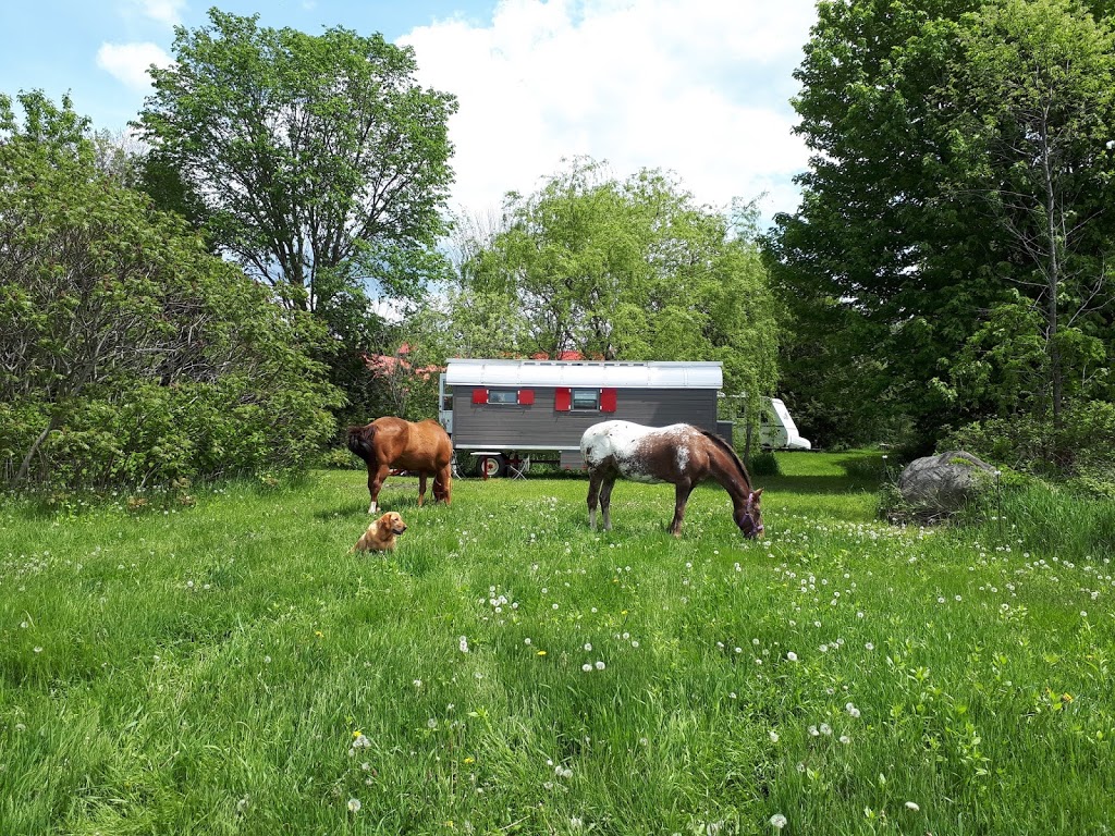 atelier FRANCOIS BEROUD WAGON | 521 Rue le Breton, Longueuil, QC J4G 1R9, Canada | Phone: (514) 973-5140