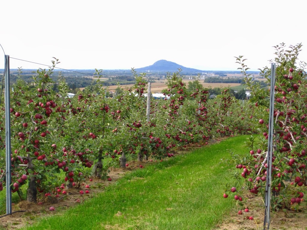 Autocueillette, Bleuetière et verger, La Fruiteraie des Gadbois. | 501 Rue Principale, Rougemont, QC J0L 1M0, Canada | Phone: (450) 469-3842