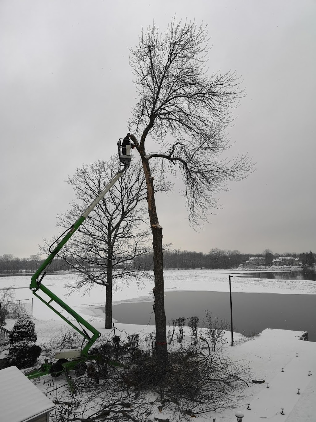 TAS Tree Pruning & Removal | point of interest | 33 Rue Watterson, Baie-dUrfé, QC H9X 3C5, Canada | 5147012684 OR +1 514-701-2684