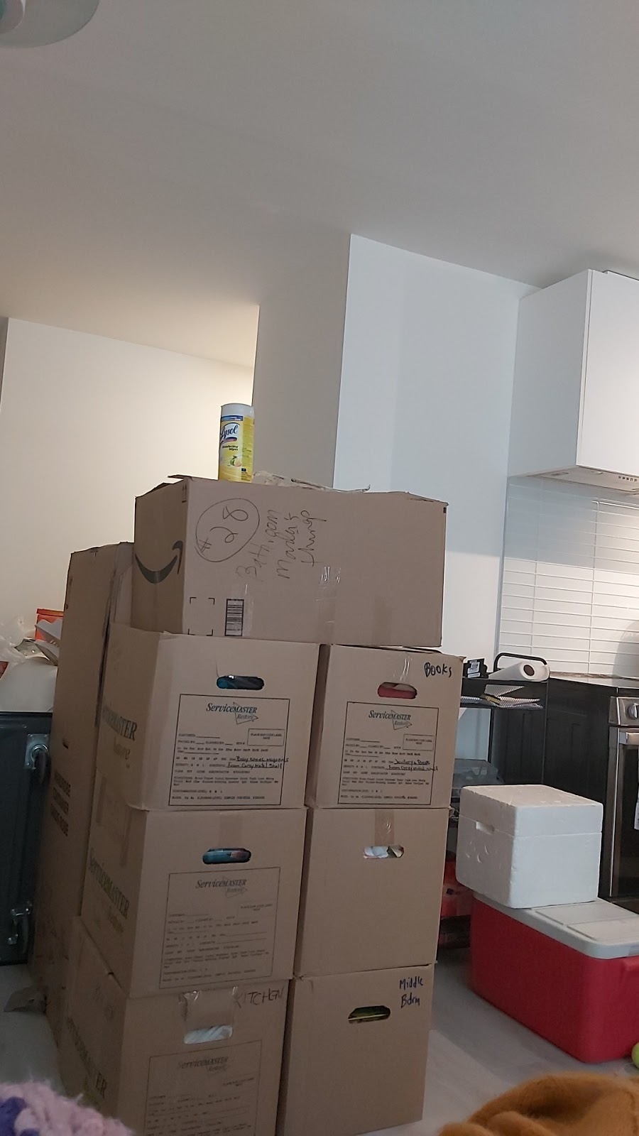 Francis Movers | 11 Zaph Ave, Scarborough, ON M1C 1M7, Canada | Phone: (416) 286-3422