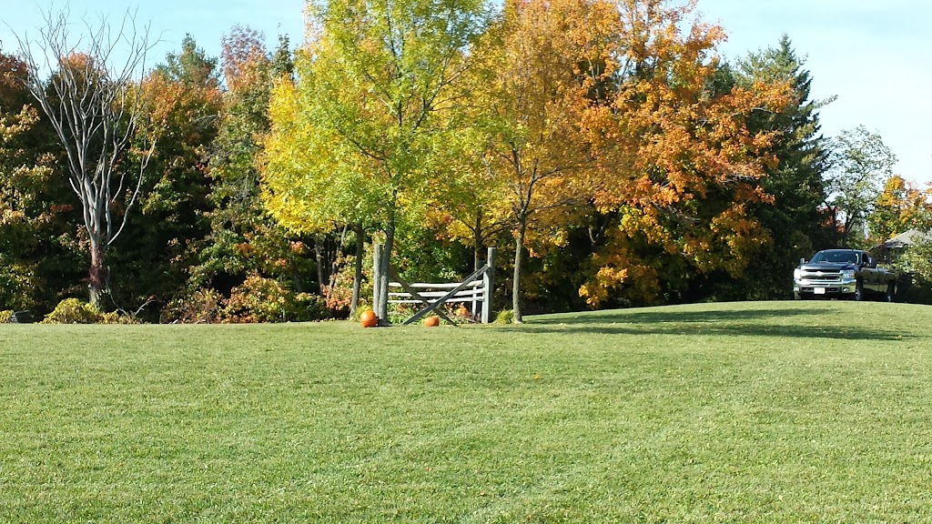Someday Farm Equestrian Centre | 5192 Winston Churchill Blvd, Erin, ON L0P 1N0, Canada | Phone: (519) 927-9444