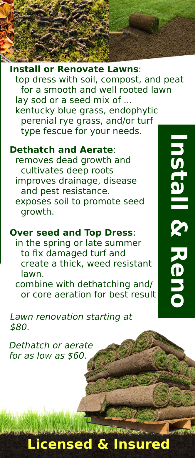 CTM Lawn Care | 47 Blanchard Ave, Truro, NS B2N 4K7, Canada | Phone: (902) 957-3571