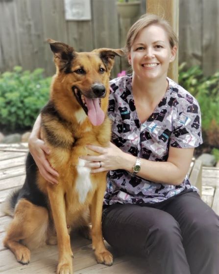 A Dogs Comfort | 7025 Dufferin Ave, Wallaceburg, ON N8A 4N3, Canada | Phone: (519) 365-9974