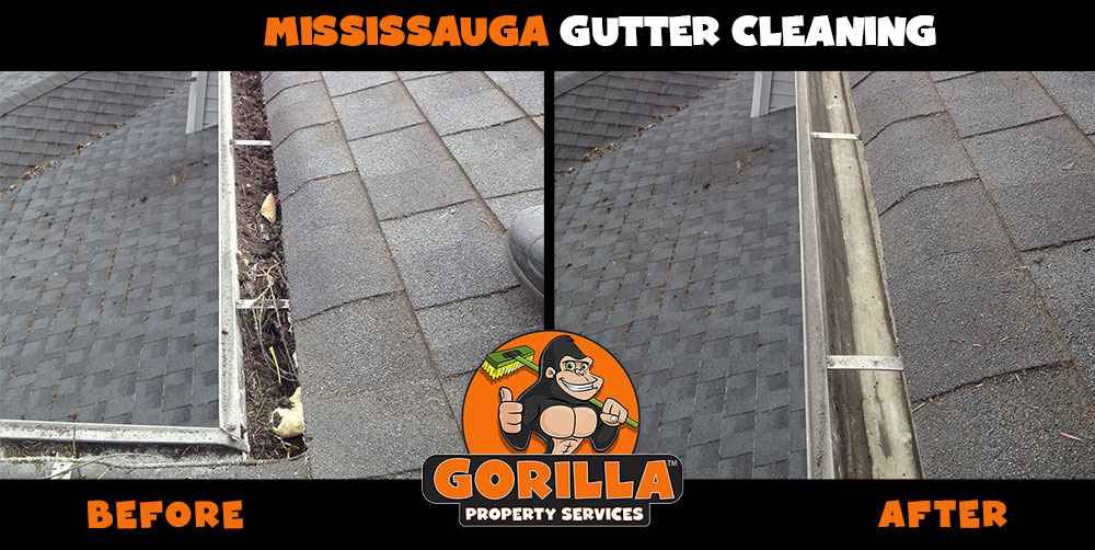 Gorilla Property Services | 7360 Bramalea Rd #885, Mississauga, ON L5S 1W9, Canada | Phone: (905) 963-9059