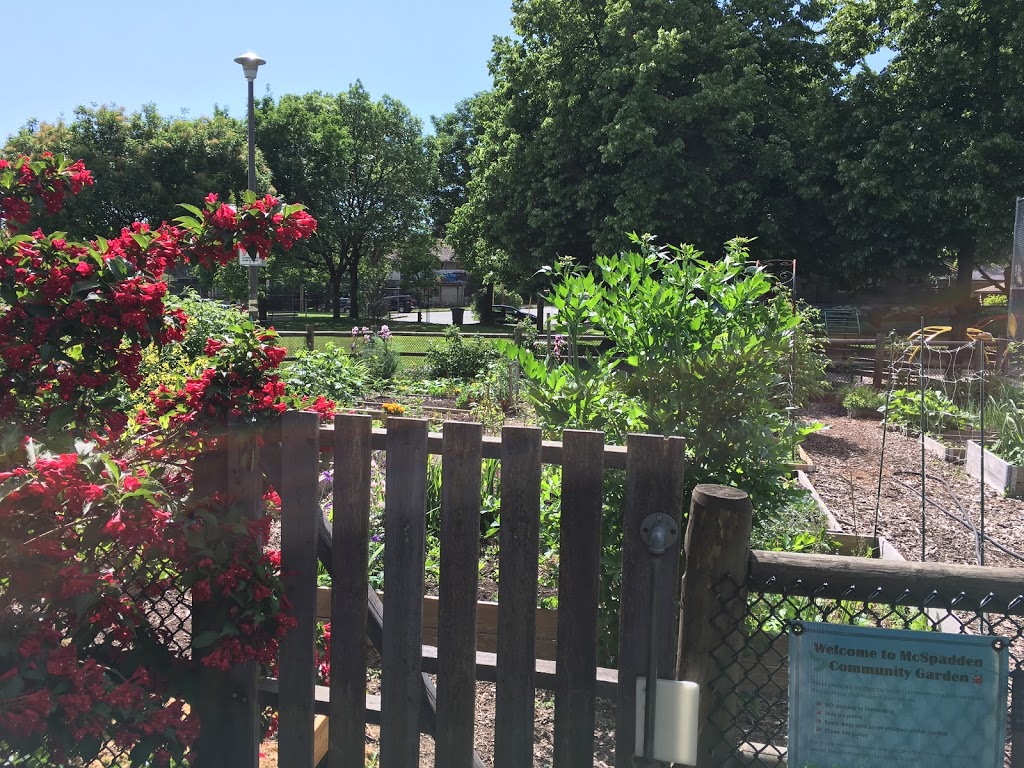 Mcspadden Park Community Garden | 2125 Victoria Dr, Vancouver, BC V5N 4K4, Canada