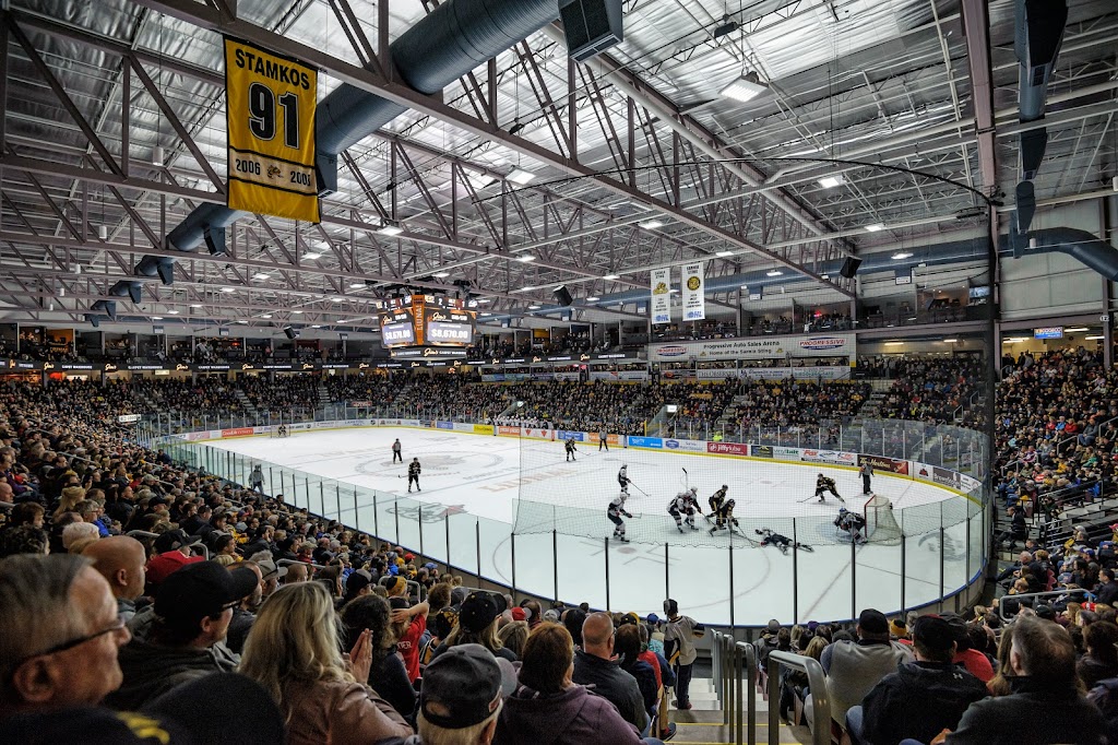 Sarnia Sting Hockey Club | 1455 London Rd, Sarnia, ON N7S 6K7, Canada | Phone: (519) 541-1717