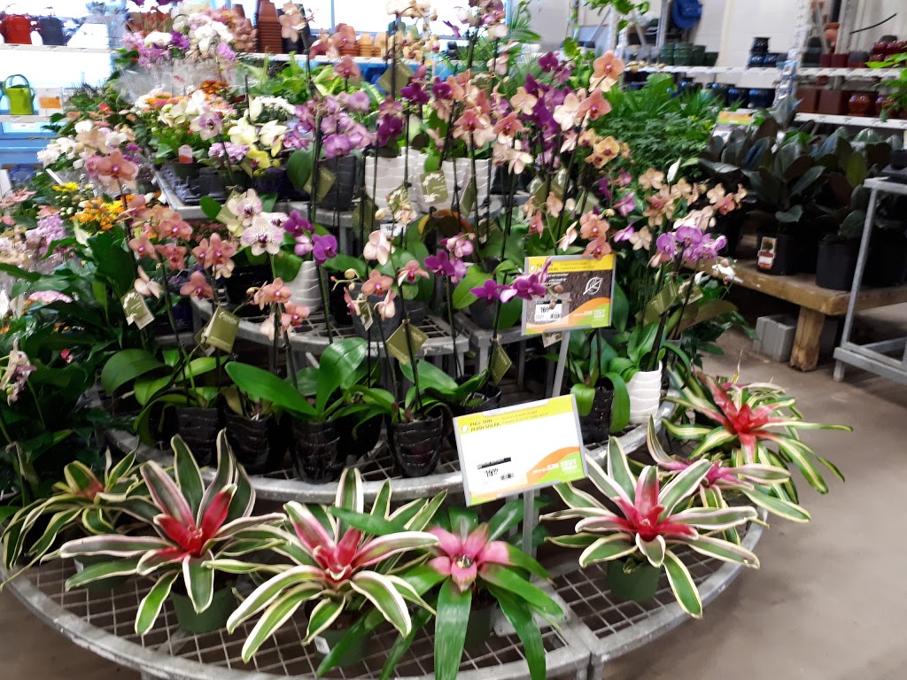 The Home Depot | 13360 137 Ave NW, Edmonton, AB T5L 5C7, Canada | Phone: (780) 472-4200