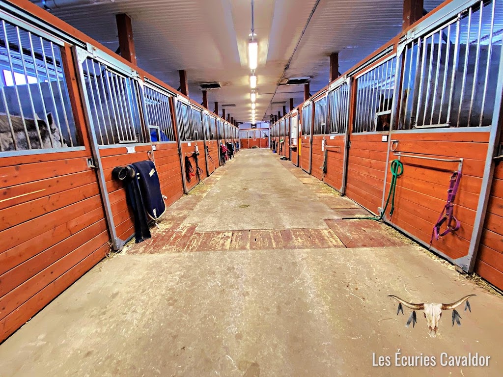 Les Écuries Cavaldor | 1587 11e Rang, Wickham, QC J0C 1S0, Canada | Phone: (819) 471-7521