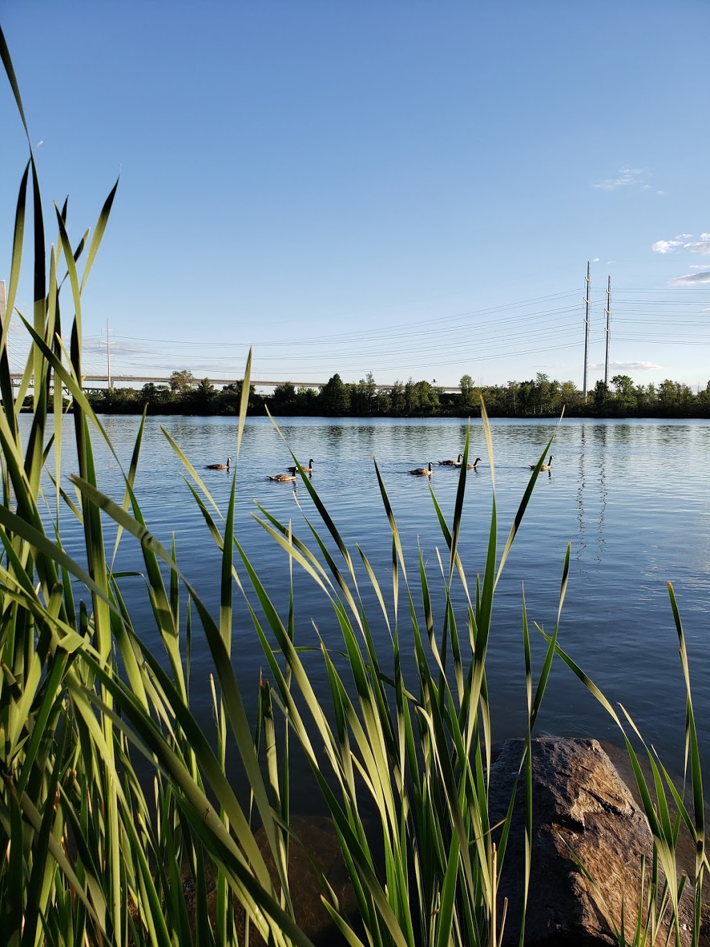 Complexe De Condominiums Le Rive Droite | 8 Rue Riverside #1209, Saint-Lambert, QC J4S 1Y5, Canada | Phone: (450) 466-3447