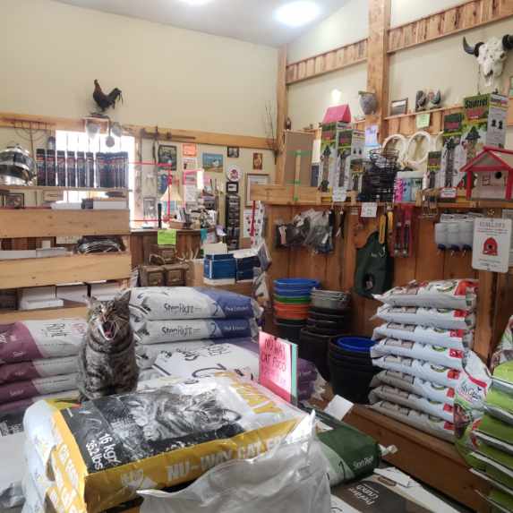 Caroline Feed Store Ltd. | 363049A Rng Rd 6, 1 mile North of Caroline at the 4-way stop, Caroline, AB T0M 0M0, Canada | Phone: (403) 722-0003