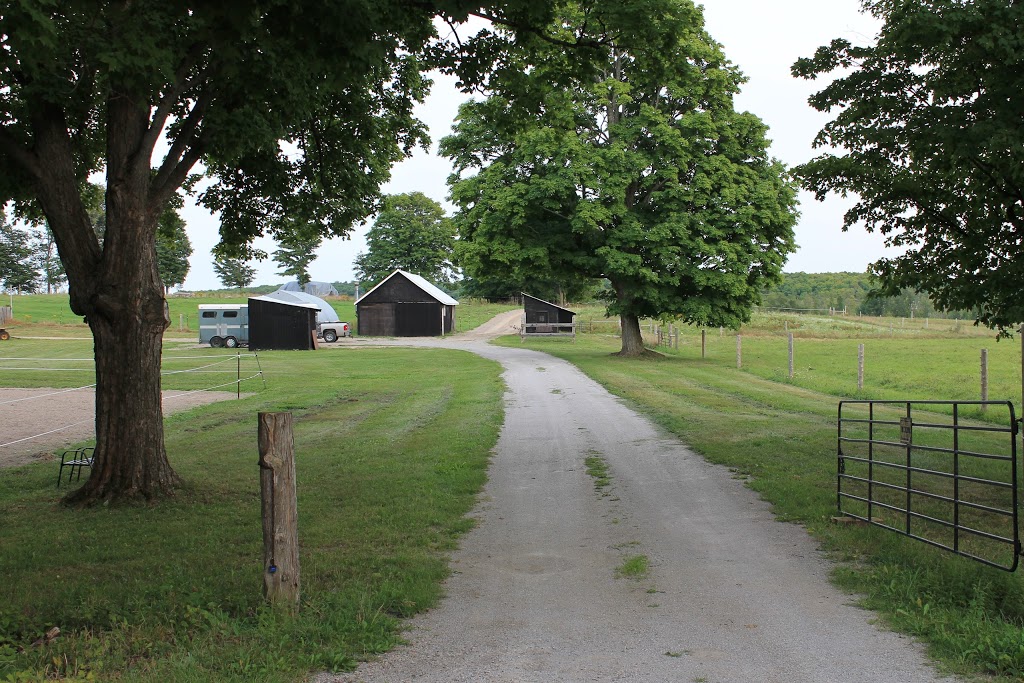 Langman Farms & Equestrian Centre | 2591 Bass Lake Side Rd E, Oro-Medonte, ON L3V 2Z2, Canada | Phone: (705) 345-9689