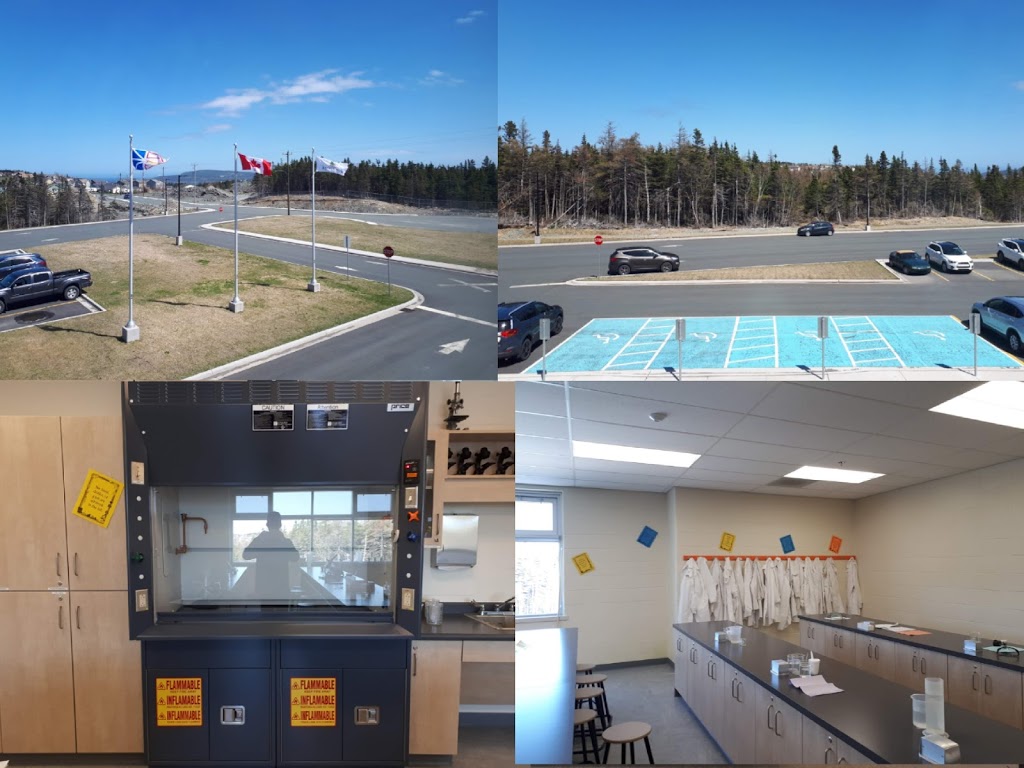 Juniper Ridge Intermediate | 20 Darryl Pye Drive, Torbay, NL A1K 0C8, Canada | Phone: (709) 437-3021