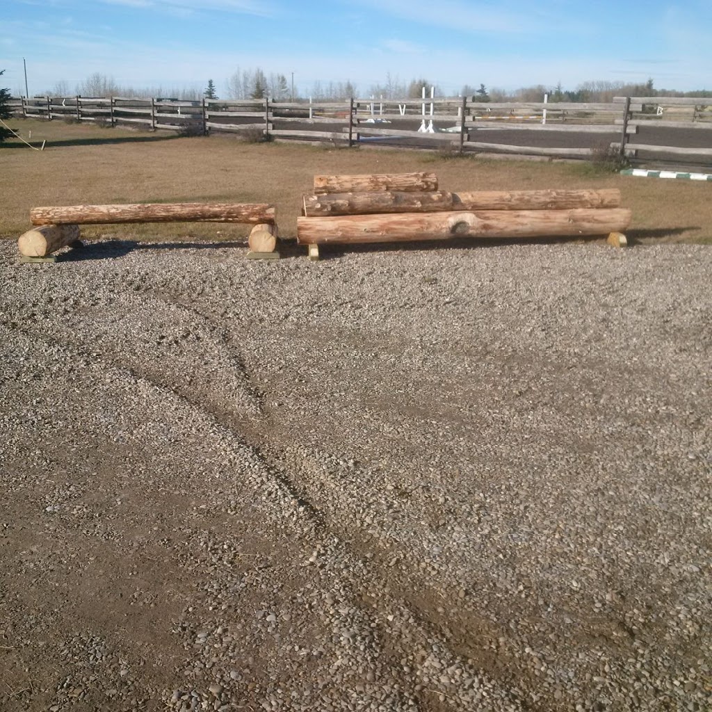 Kaspian Equestrian | Box 26 Site 7 RR3, Olds, AB T4H 1P4, Canada | Phone: (403) 556-3478