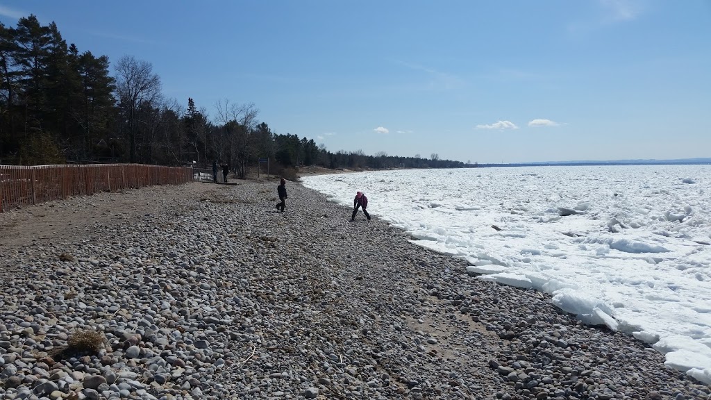 Woodland Beach | 64 Moore Ave, Tiny, ON L0L 1P1, Canada