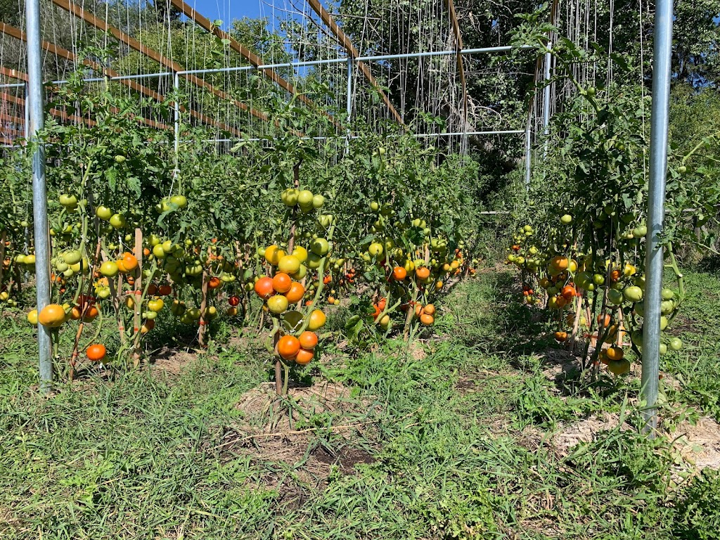 Spring Field Farm 春田农场 | 50367 Range Road 265, AB T9G 0K5, Canada | Phone: (780) 200-1379