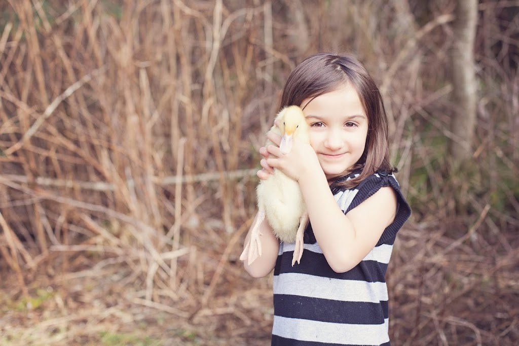 Reliable Poultry Service LTD. | 6911 River Ave N, Courtenay, BC V9J 1N5, Canada | Phone: (250) 337-5956