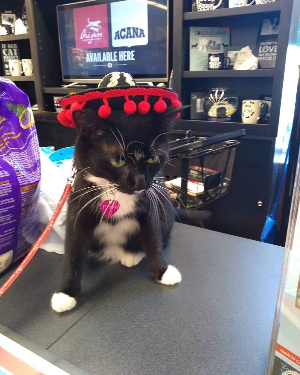 Pet Valu | 197 Trainyards Dr, Ottawa, ON K1G 3X8, Canada | Phone: (613) 562-3250