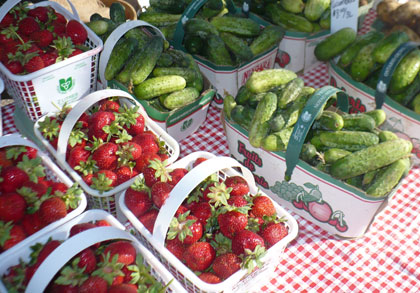 McGregors Produce - Calabogie Market Stand | 4709 Calabogie Rd, Calabogie, ON K0J 1H0, Canada | Phone: (613) 432-9726