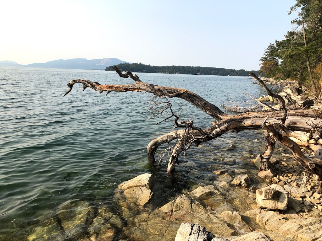 The Inlet Bed & Breakfast | 560 Salmon Rd, Saanichton, BC V8M 1S5, Canada | Phone: (250) 516-9037