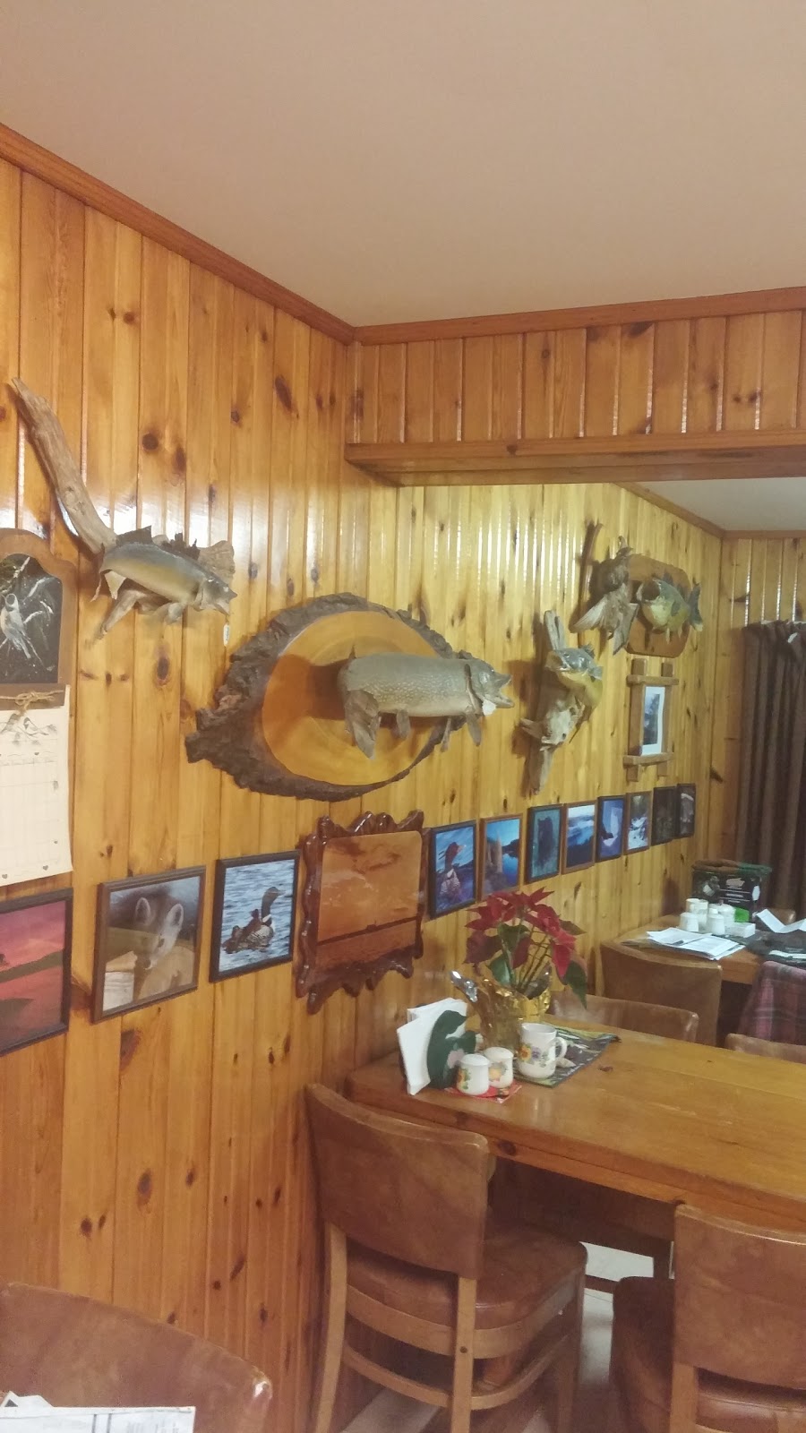 Northland Paradise Lodge | 51 Stevens Rd, Temagami, ON P0H 2H0, Canada | Phone: (705) 569-3791