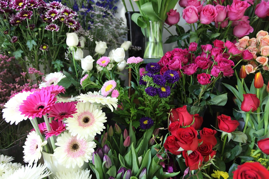Fleuriste La Pousse Verte | 3280 Ch Ste-Foy, Québec, QC G1X 1S1, Canada | Phone: (418) 659-3770