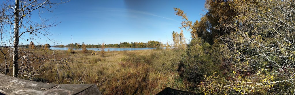 South Arm Marshes Wildlife Management Area | 5011 River Rd, Delta, BC V4K 1S7, Canada