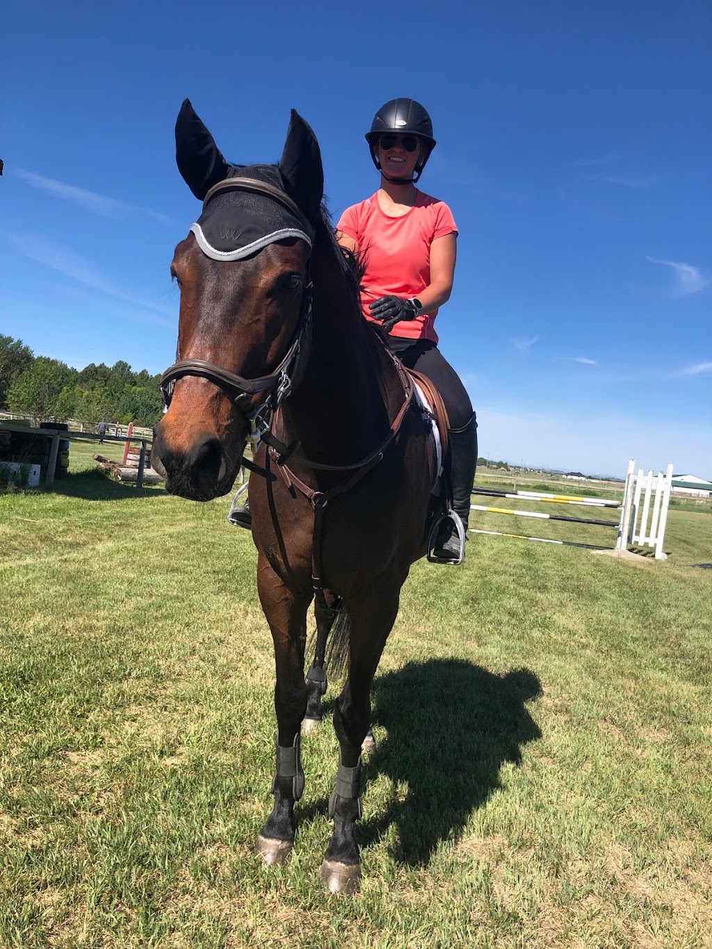 Willow Grove Stables | 80137 2253 Dr E, Alberta T1S 4V2, Canada | Phone: (403) 540-5380