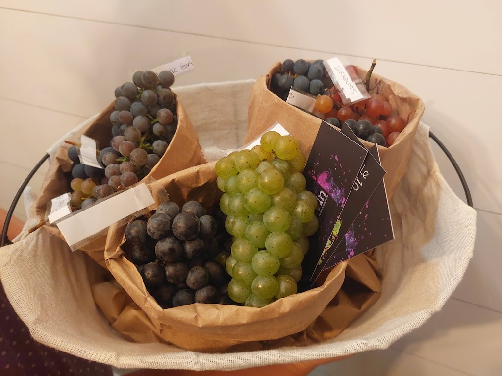 Vignoble Le 10-vin | 672 Rang Marigot, Saint-Apollinaire, QC G0S 2E0, Canada | Phone: (418) 881-1020
