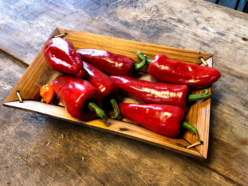 Les Jardins Des Chefs - Piment Gorria | 53 Rang des Éboulements Centre, Les Éboulements, QC G0A 2M0, Canada | Phone: (418) 635-2778
