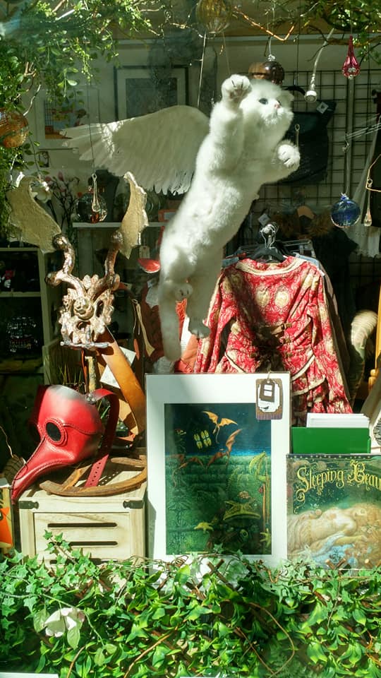 The Wylde Wood Collective | River Market Upper Level 206C, 810 Quayside Dr, New Westminster, BC V3M 6B9, Canada | Phone: (604) 553-0206