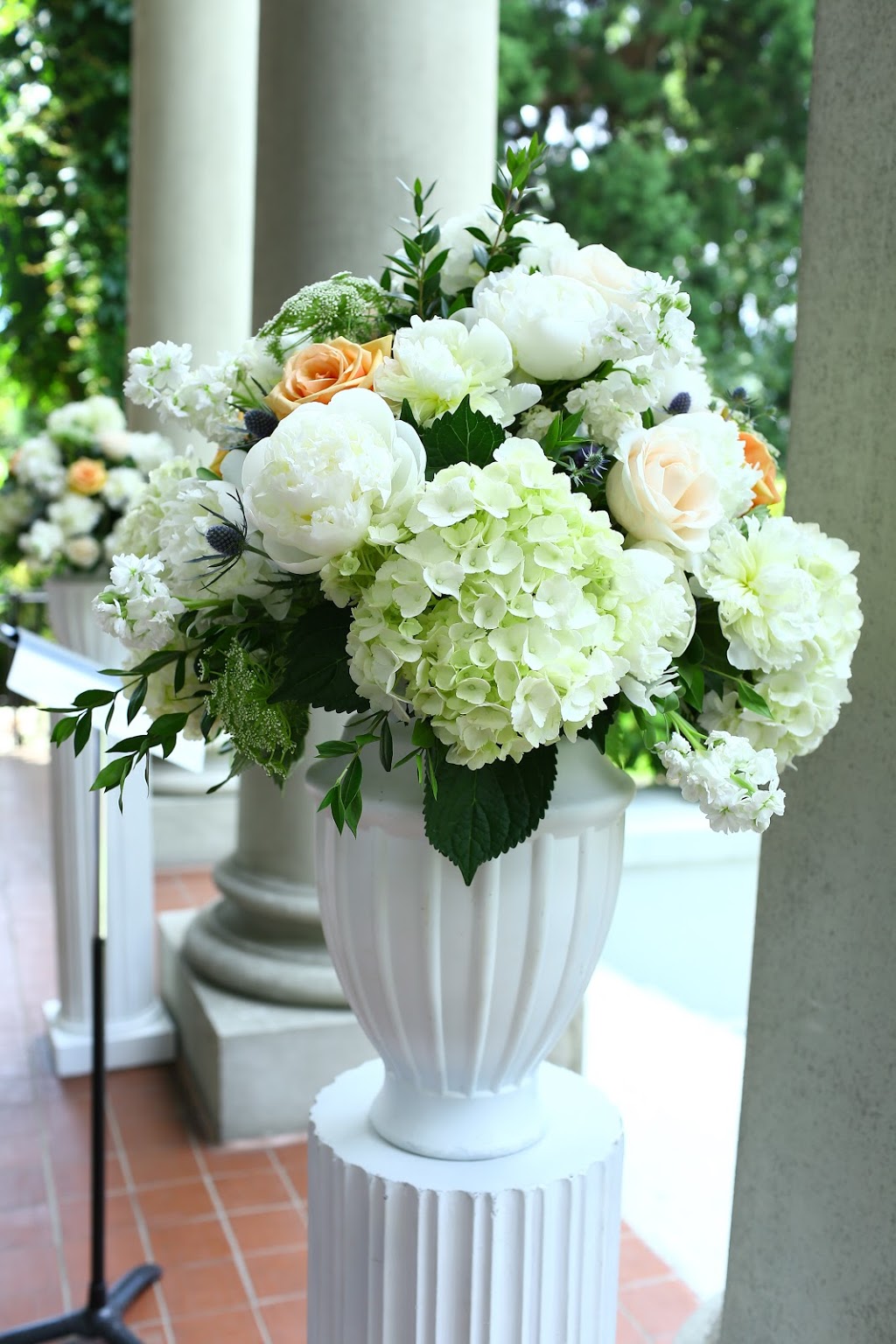 Petal Pushers Florist | 7236 Linden Ave, Burnaby, BC V5E 3G6, Canada | Phone: (604) 515-8800