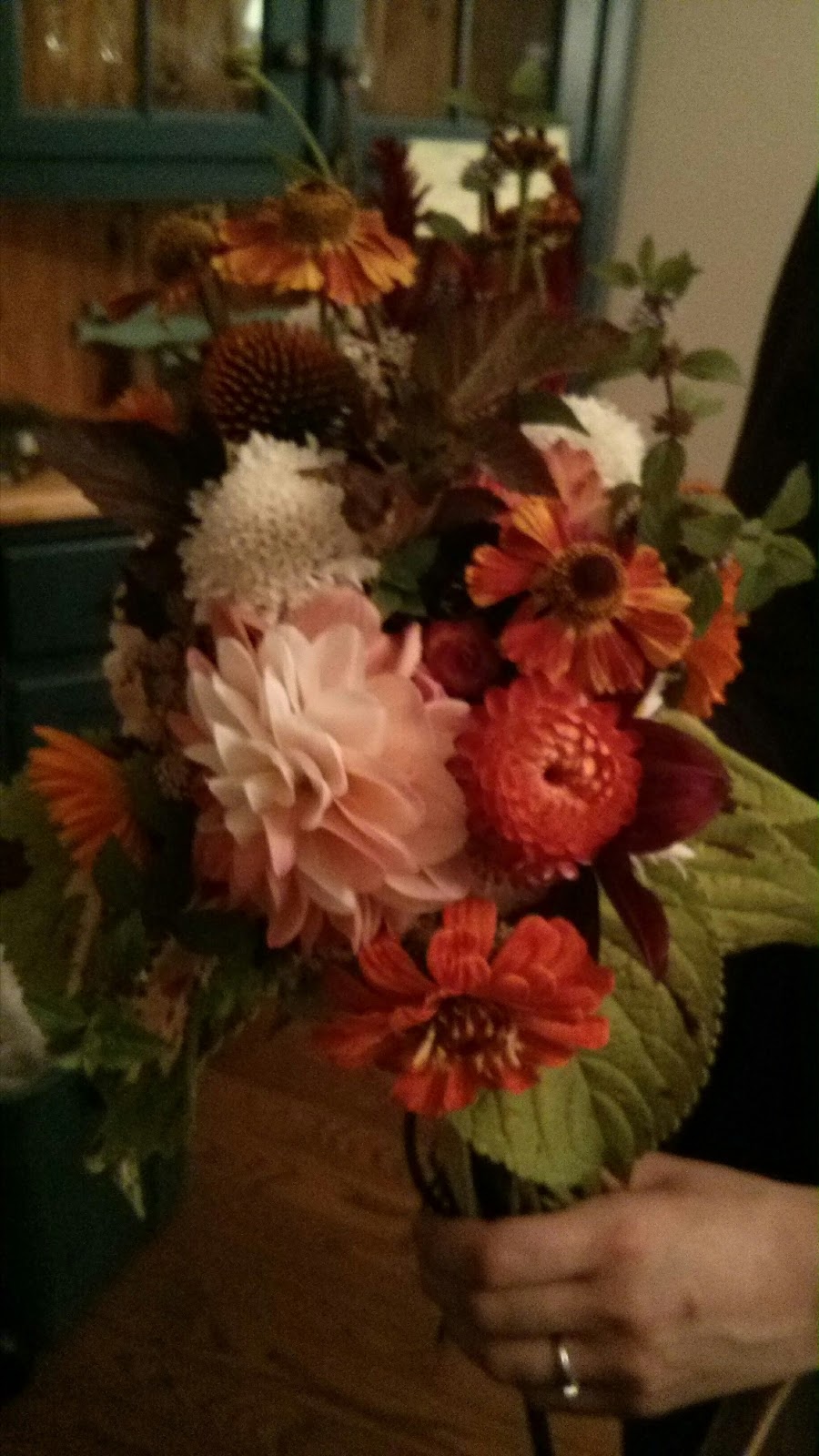Barefoot Blooms | 4624 NS-215, Newport, NS B0N 2A0, Canada | Phone: (902) 790-6318