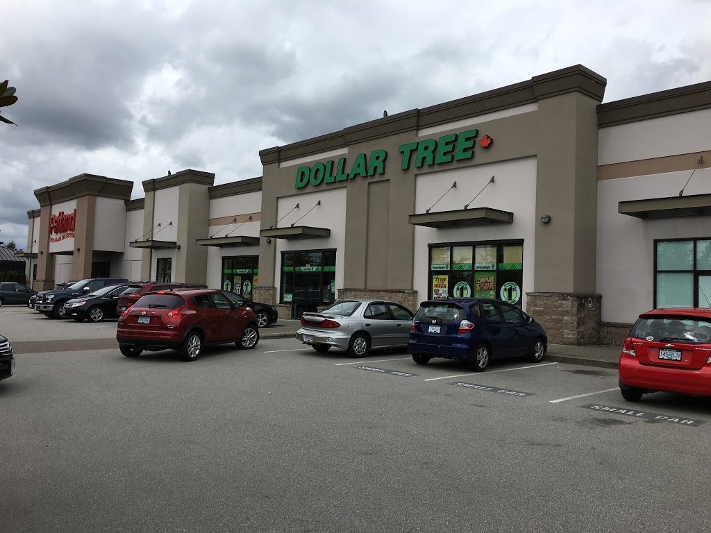 Dollar Tree | 1097 Nicola Ave #120, Port Coquitlam, BC V3B 8B2, Canada | Phone: (604) 942-7555