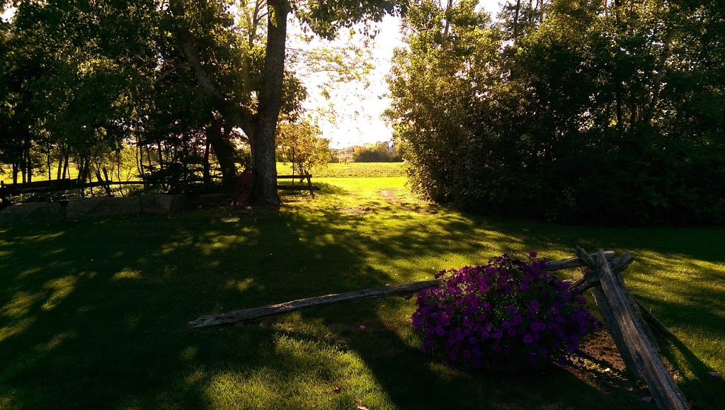 Colonnade Golf & Country Club | 2789 Woodburn Rd, Joyceville, ON K0H 1Y0, Canada | Phone: (613) 542-4779