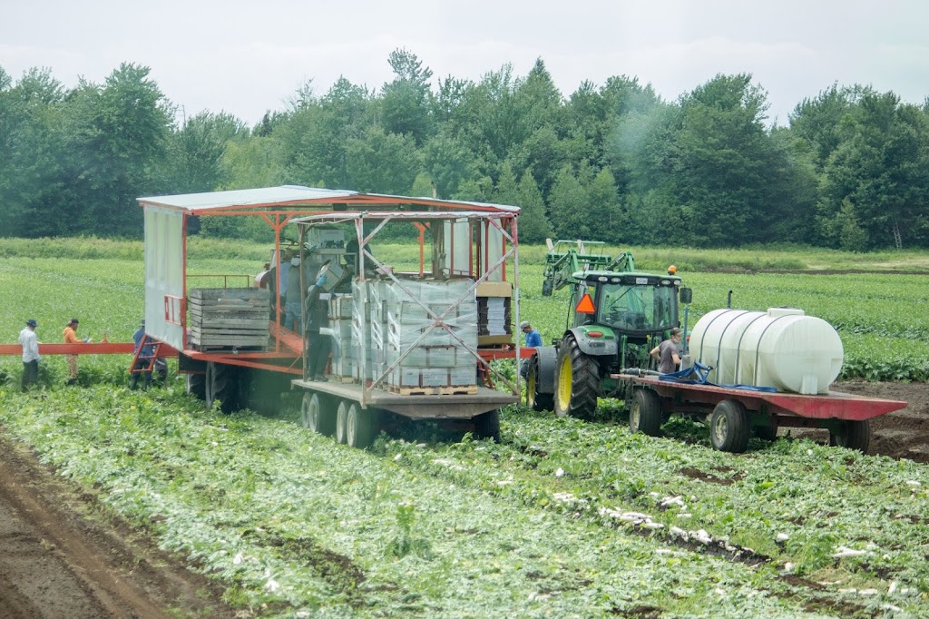 Delfland Inc | 158 Rang Grégoire, Napierville, QC J0J 1L0, Canada | Phone: (450) 245-1038
