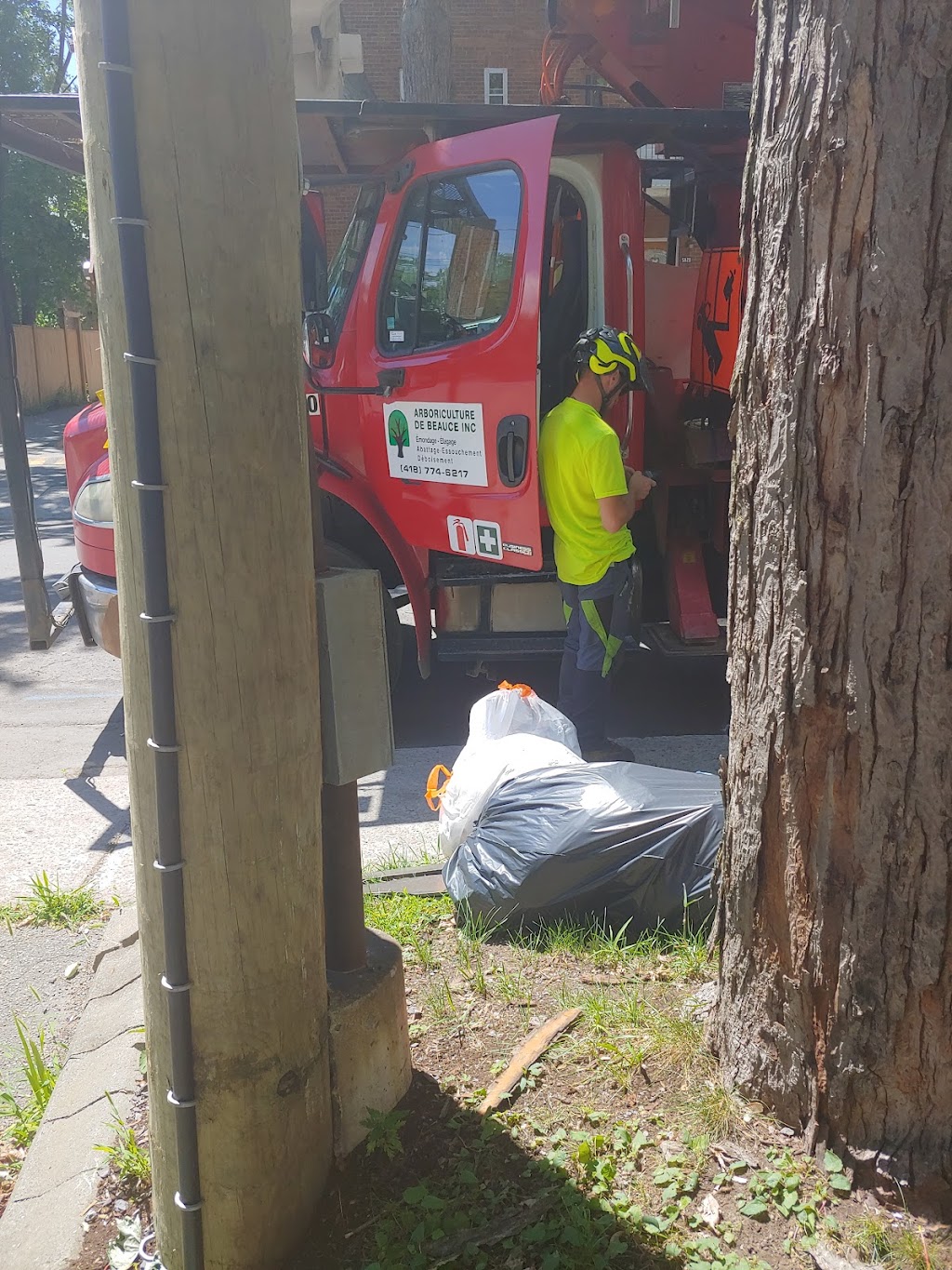 Arboriculture de Beauce | 364E Route-du-Président-Kennedy, Beauceville, QC G5X 1N9, Canada | Phone: (418) 774-6217