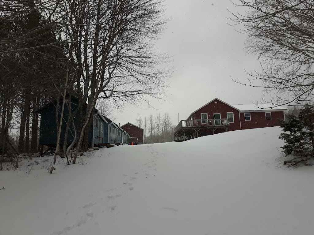 Camp Mockingee | 160 Smeltzer Rd, Windsor, NS B0N 2T0, Canada | Phone: (902) 798-8430