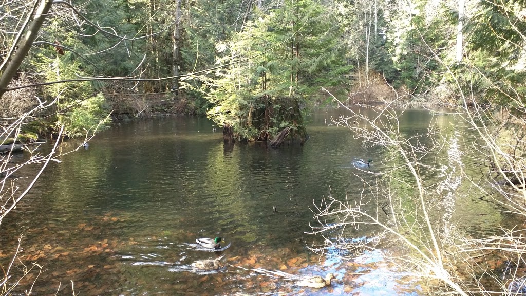 Hunter Park | North Vancouver, BC V7K 2X4, Canada | Phone: (604) 990-3800