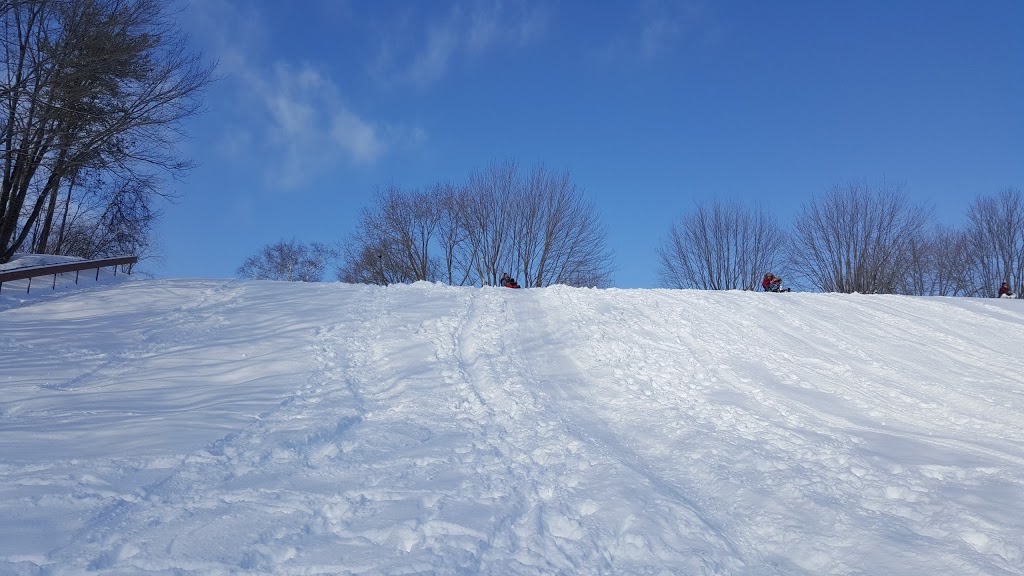 Parc Des Ormeaux | Rue Chapleau, Trois-Rivières, QC G8W 2M2, Canada