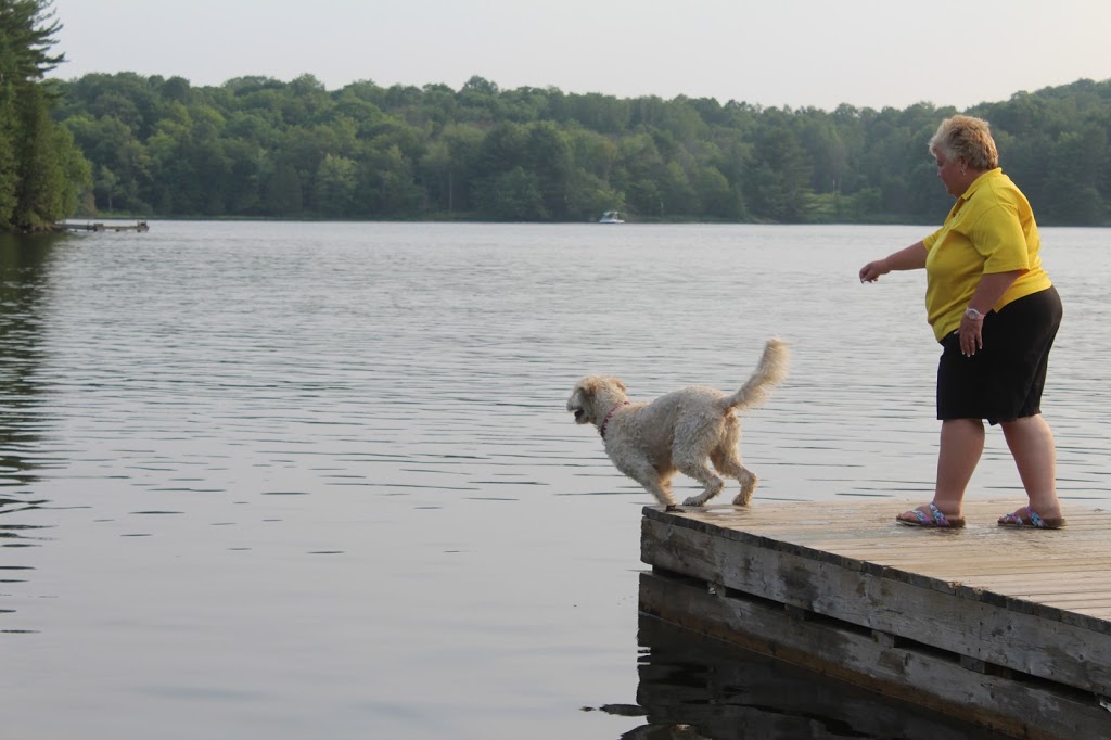 Parry Sound KOA | 276 Rankin Lake Rd, Seguin, ON P2A 0B2, Canada | Phone: (705) 378-2721