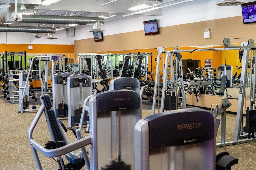 Anytime Fitness | 338 Waterloo St, New Hamburg, ON N3A 1T6, Canada | Phone: (519) 390-4348
