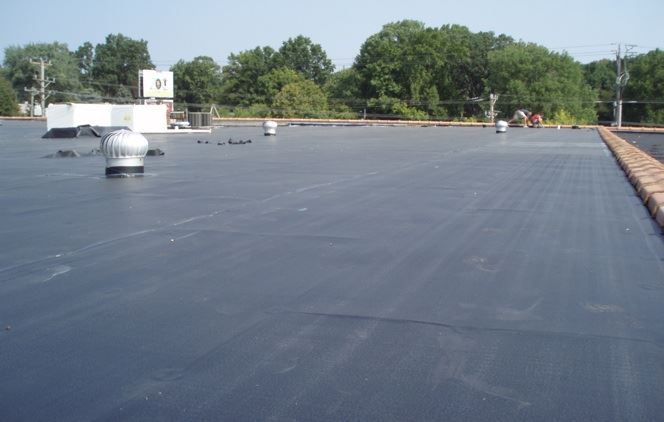 AM Group of Companies | 319414 Grey Rd 1, Kemble, ON N0H 1S0, Canada | Phone: (866) 327-6762