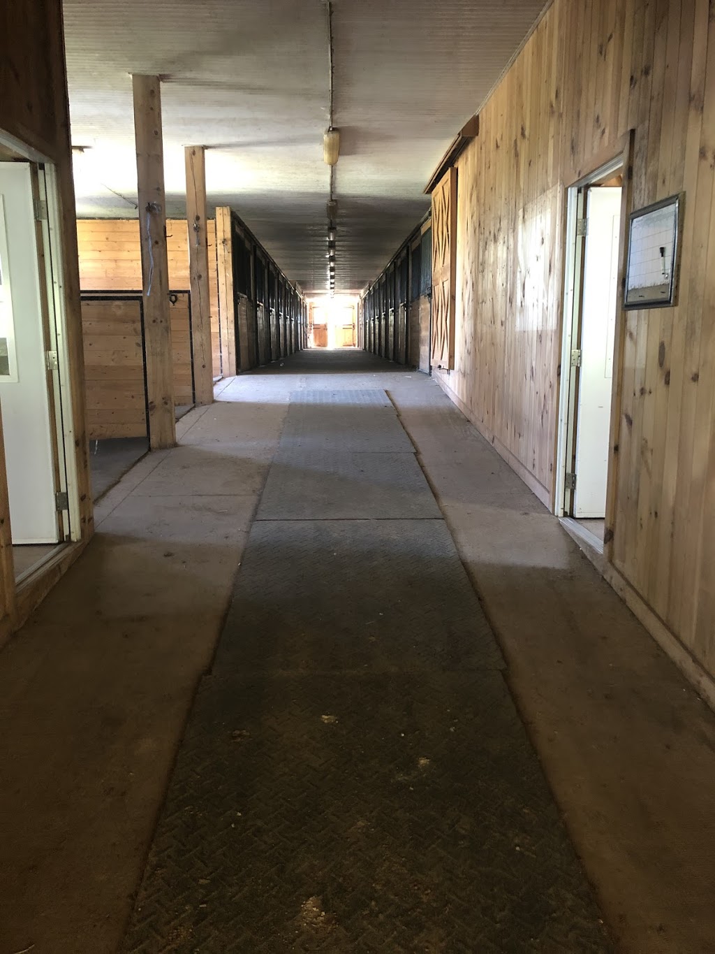 D7 Equestrian | 8285 Guelph Line, Campbellville, ON L0P 1B0, Canada | Phone: (416) 475-3754