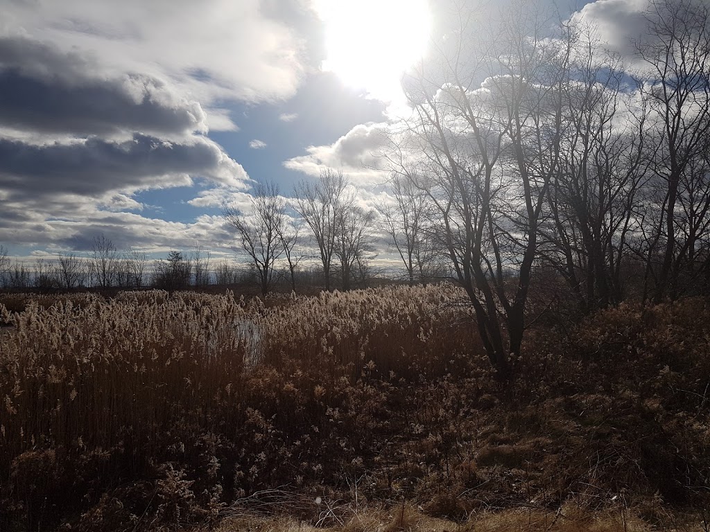 Tommy Thompson Park | Unnamed Road, Toronto, ON M4M, Canada